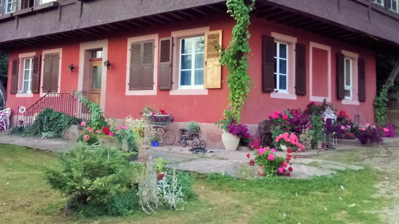 Gite "Cadichon" Мюнстер Экстерьер фото